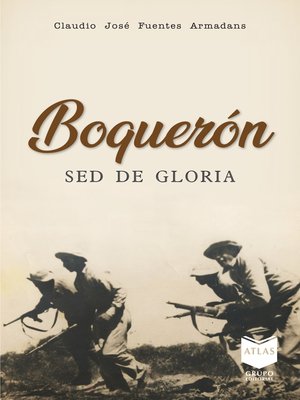 cover image of Boquerón